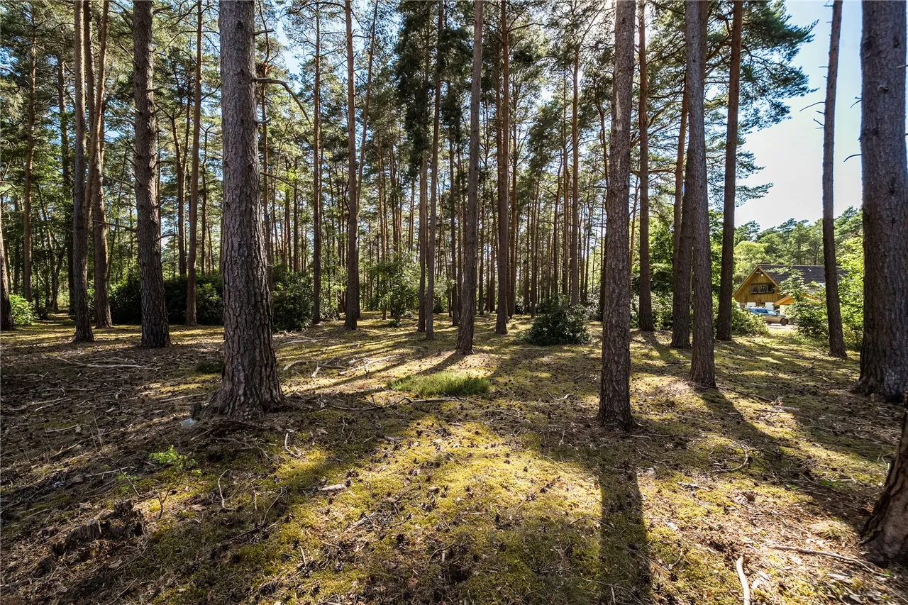 Lowicks Road, Rushmoor, Farnham, Surrey, GU10 2EY, photo 14