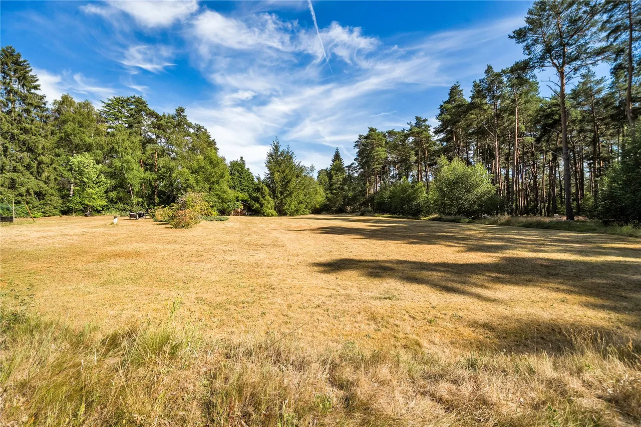 Lowicks Road, Rushmoor, Farnham, Surrey, GU10 2EY, photo 13