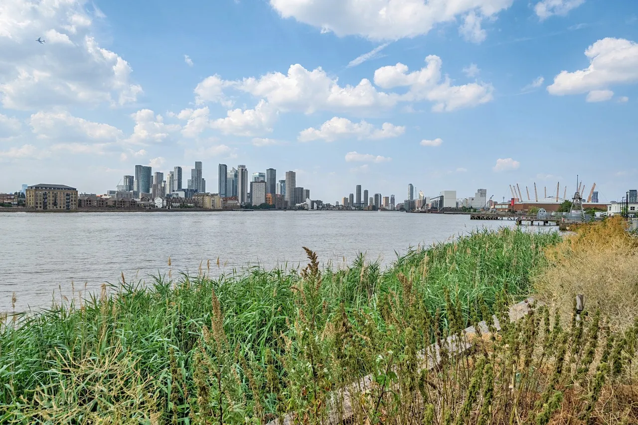 Harrison Walk, SE10, photo 13