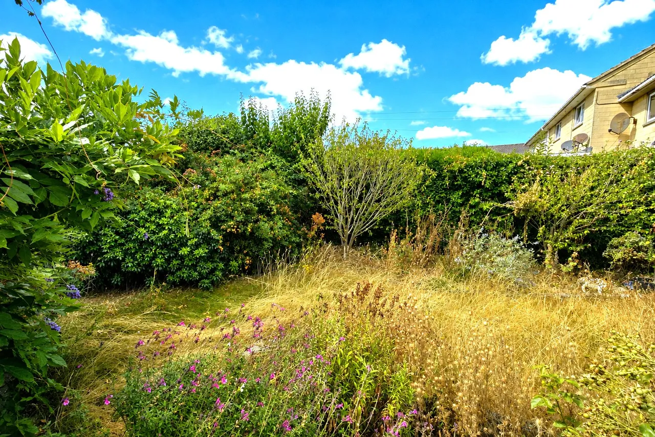 Bradford On Avon, Wiltshire, photo 8