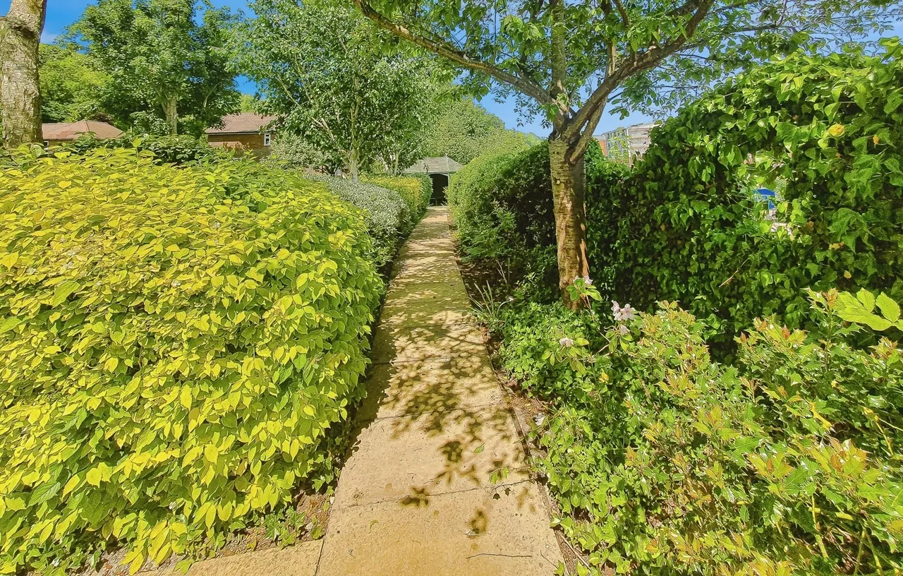 Pegasus Court, Stafford Road, Caterham, Surrey, CR3, photo 15
