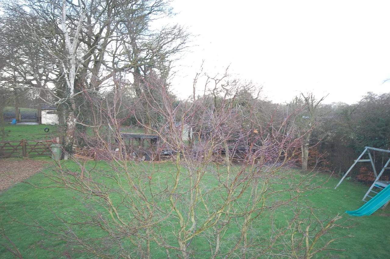 Dry Street, Langdon Hills, photo 30