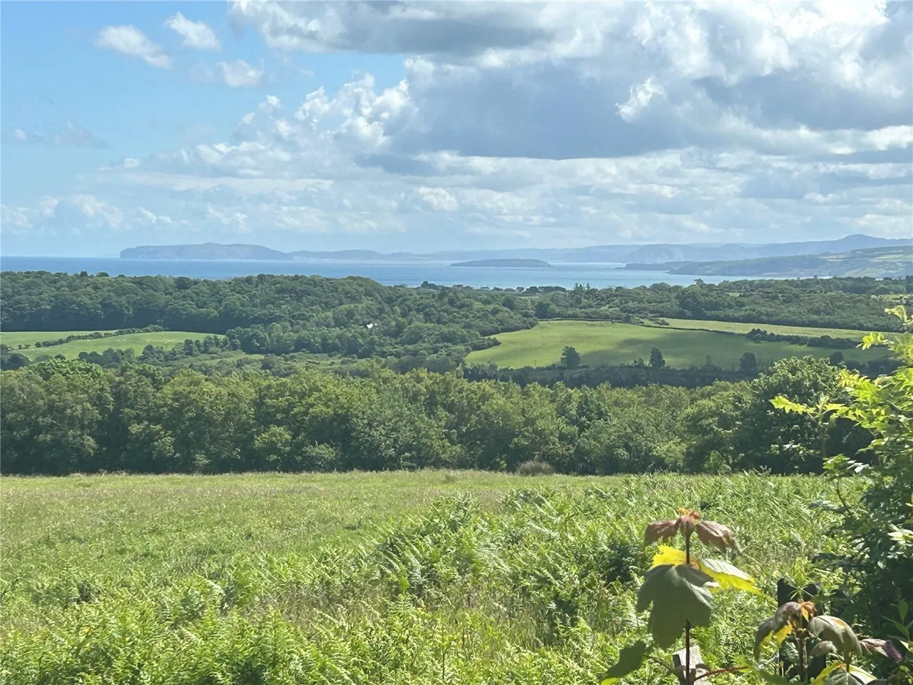 Mynydd Bodafon, Sir Ynys Mon, LL71, photo 33