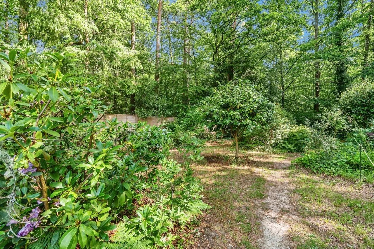 Woodlands Road, Ashurst, SO40, photo 15