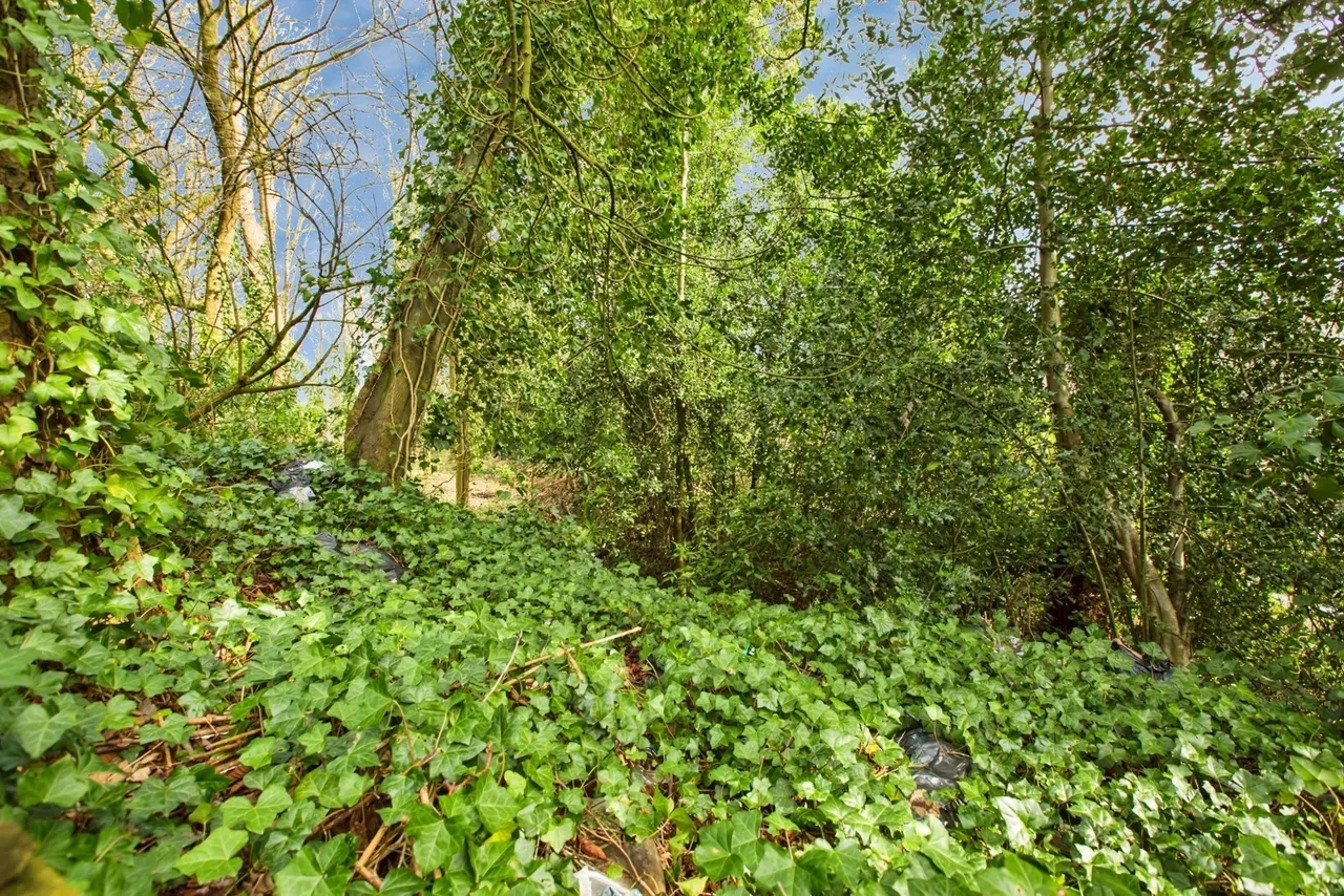 Jerry Lane, Sowerby Bridge, West Yorkshire, HX6, photo 23
