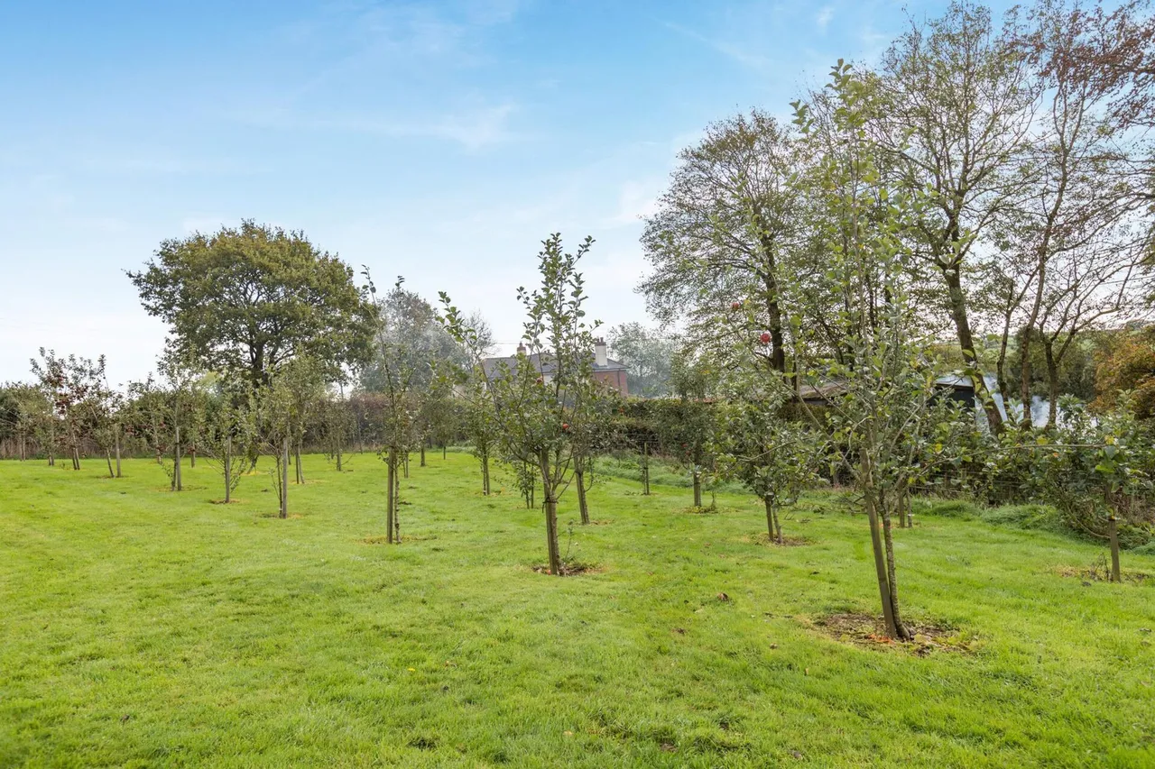 Rackenford, Tiverton, EX16, photo 4