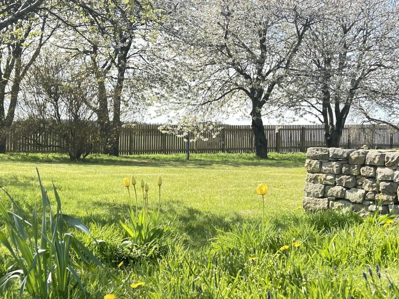 Roseisle, Elgin, photo 21