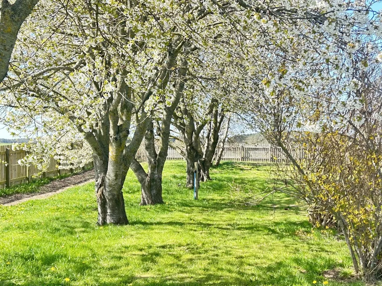 Roseisle, Elgin, photo 23