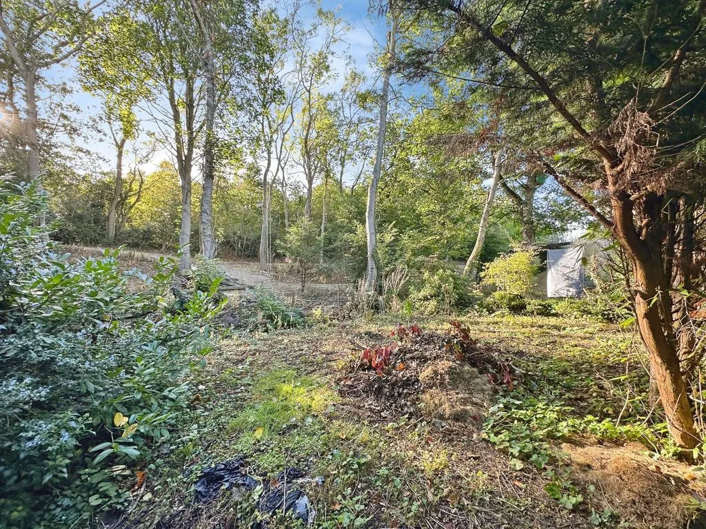 Morpeth NE61 3LT, NE61, photo 16