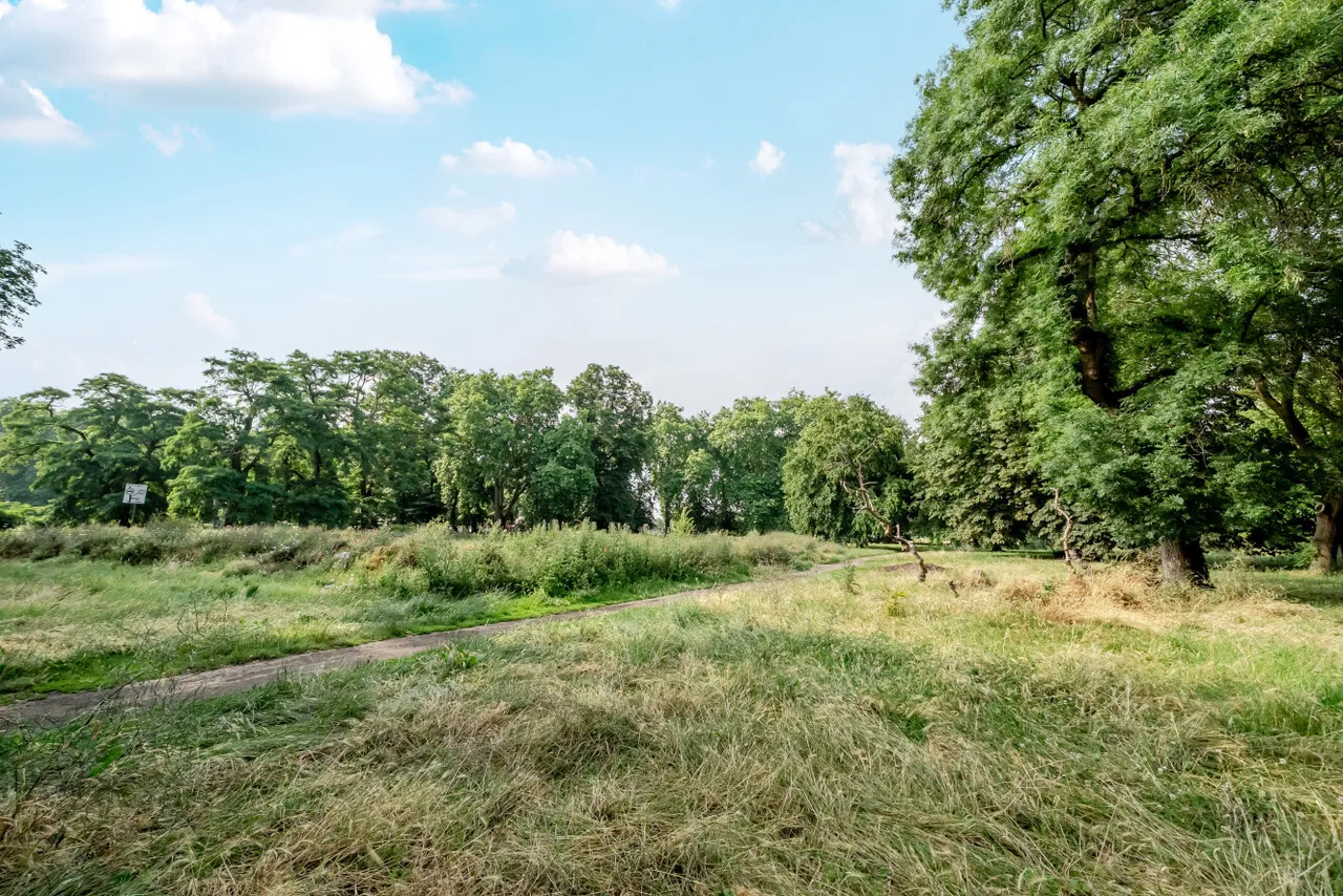 Clapham Common North Side, Clapham, SW4, photo 15