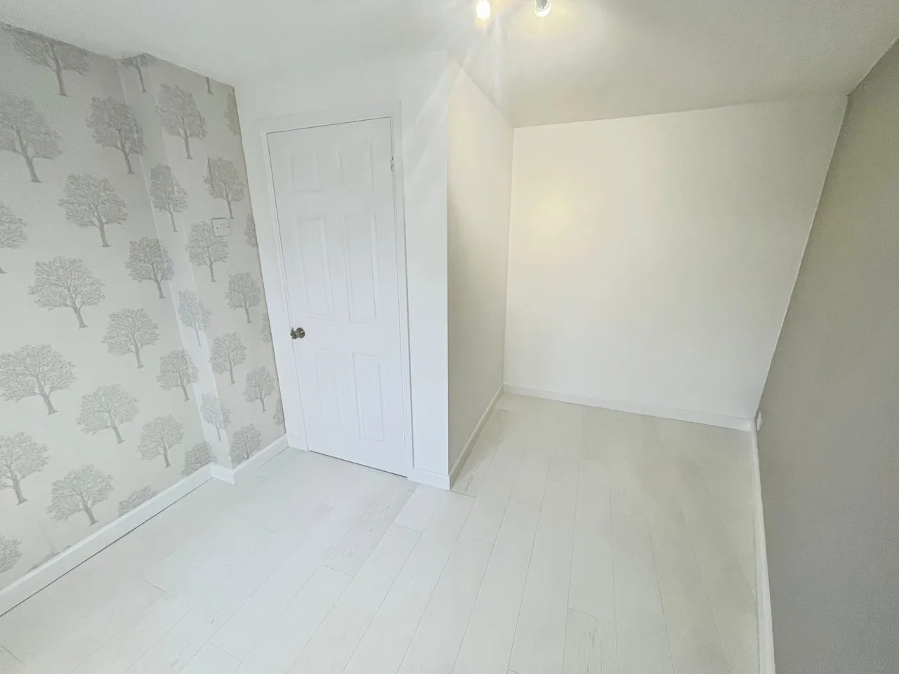 Beech Way, Basingstoke, Basingstoke, RG23 8LR, photo 13