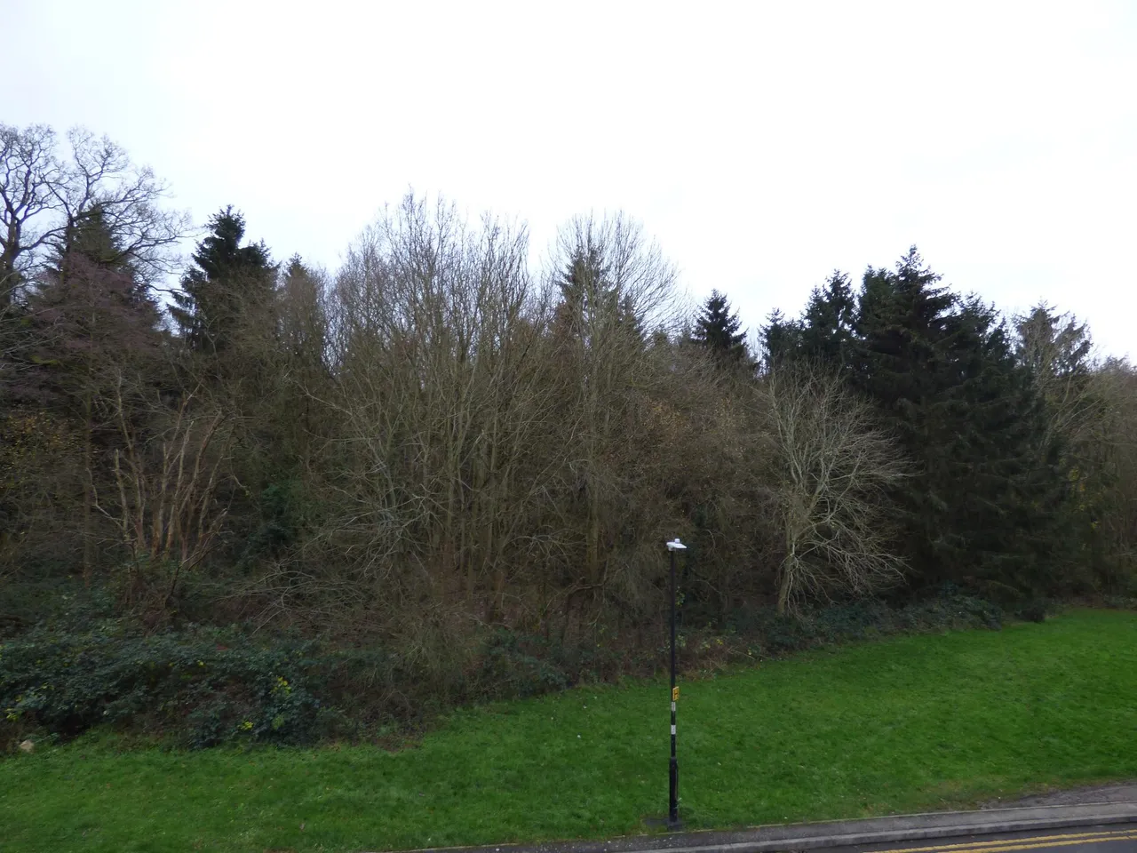 Greensleeves Drive, Brentwood, CM14, photo 14