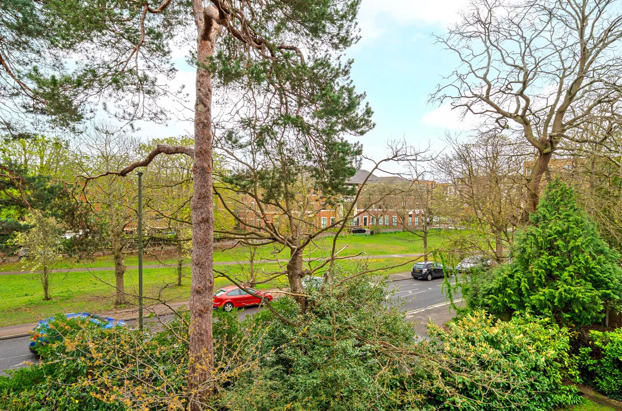 Oakdene Court, Walton-On-Thames, KT12, photo 18