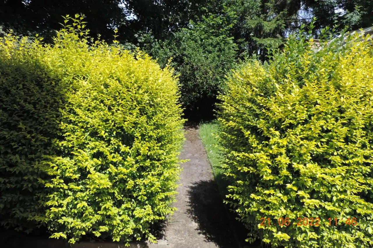 The Old Convent, ST3, photo 9