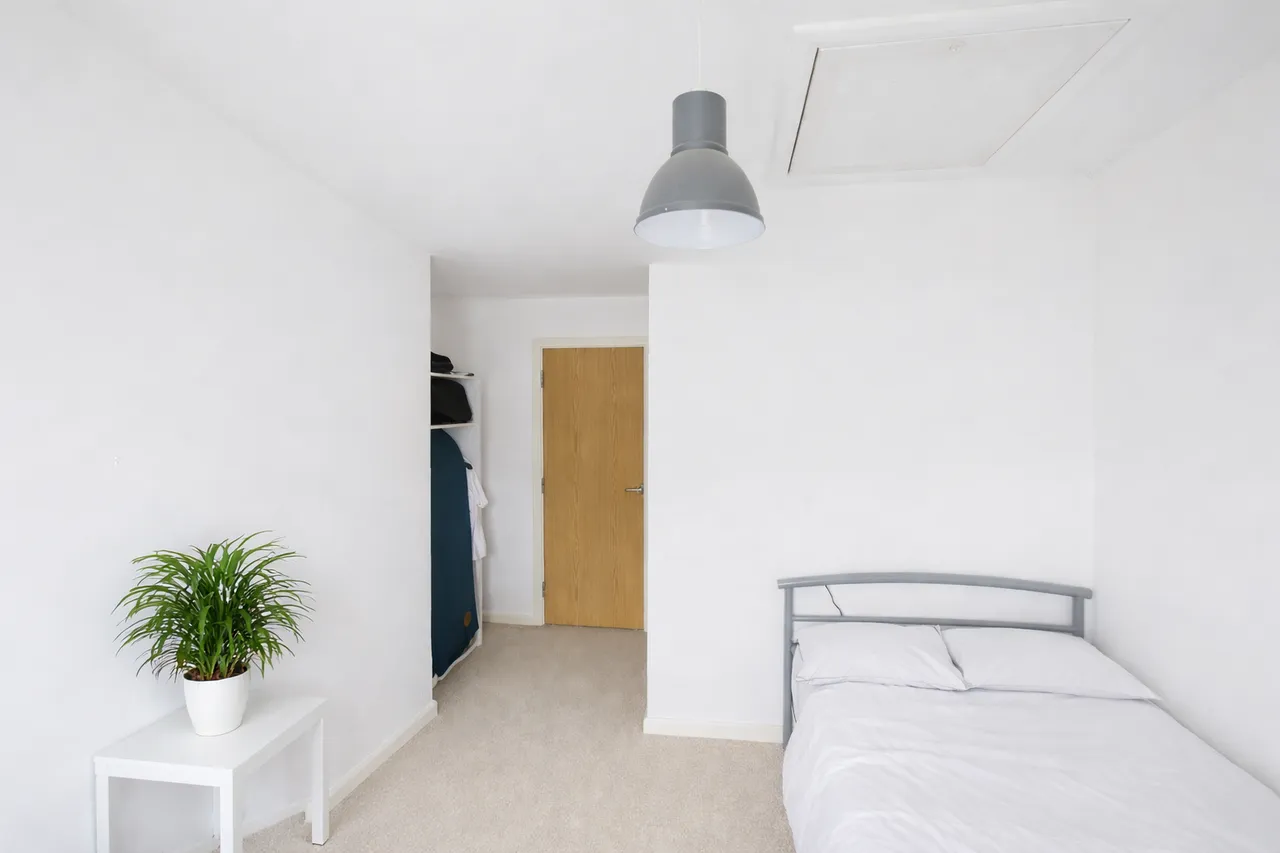 Canopy Lane, Newhall, CM17, photo 6