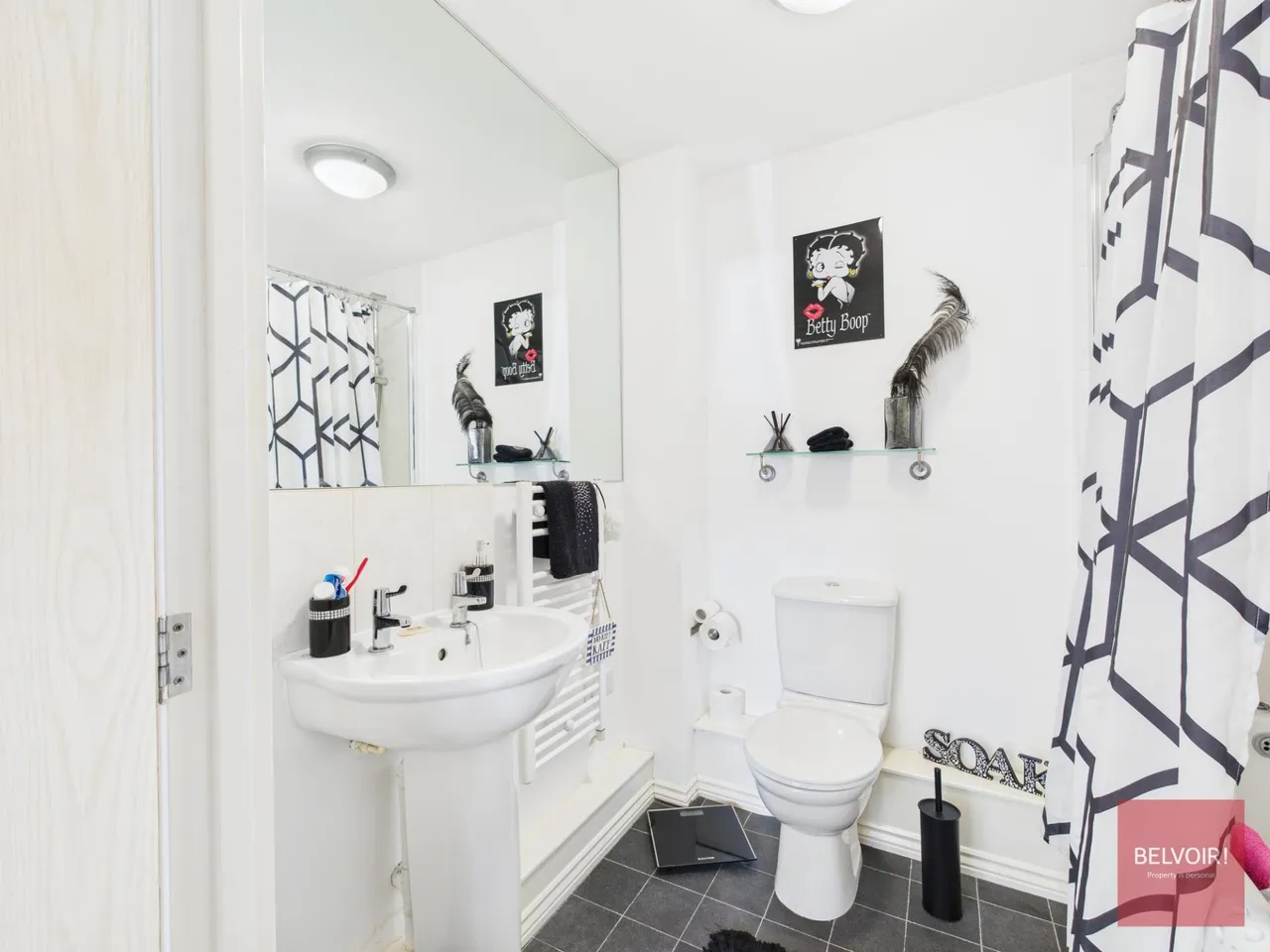 Belleisle Apartments, Pentrechwyth, Swansea, SA1, photo 7