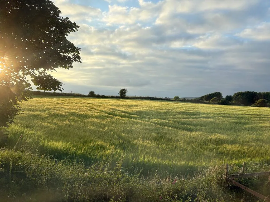 Carn Stithians, Truro, TR3, photo 12