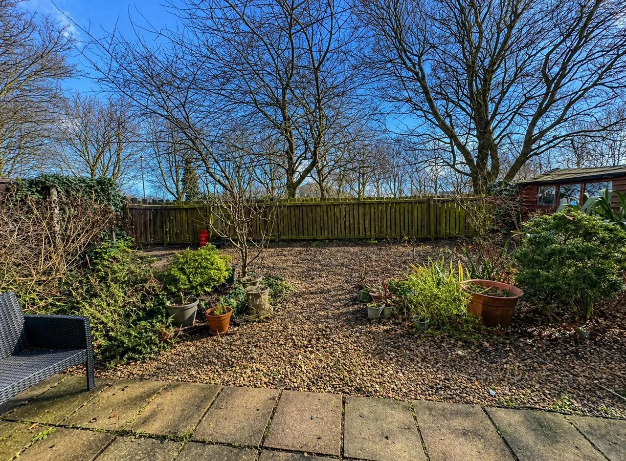Derwood Grove, Werrington, PE4, photo 13