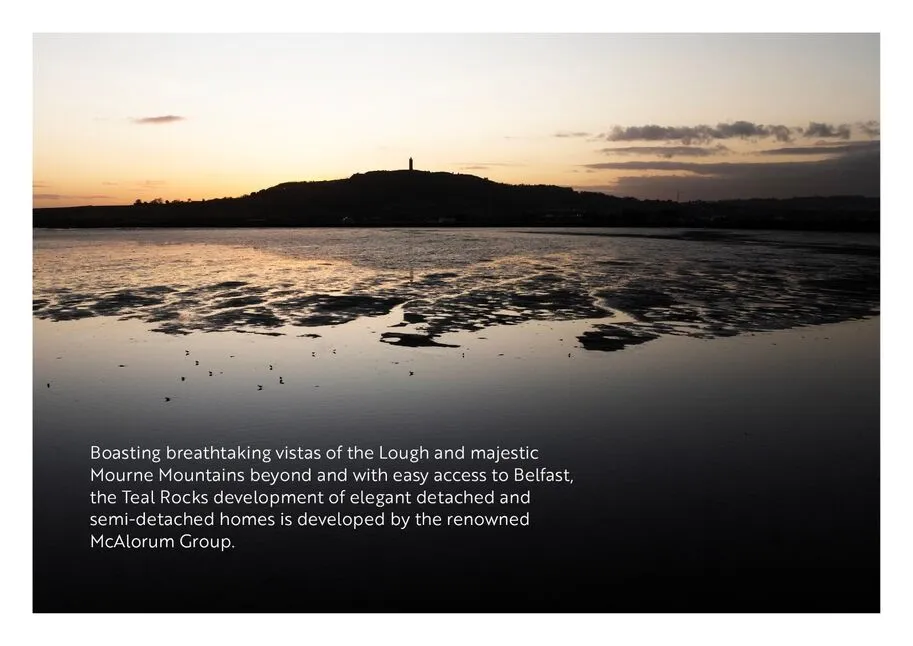 Teal Rocks, Newtownards, BT23, photo 8