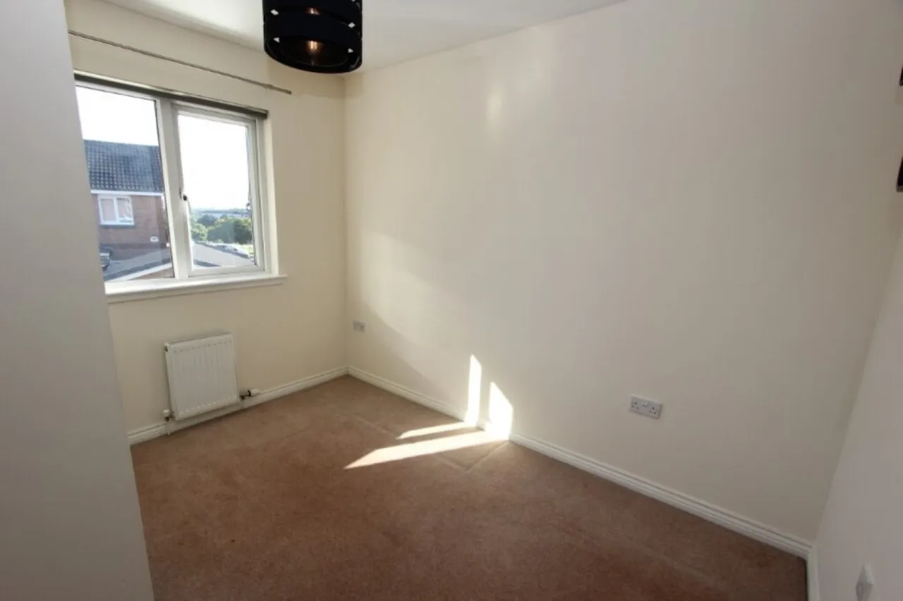 Darnley- Whitacres, G53, photo 19