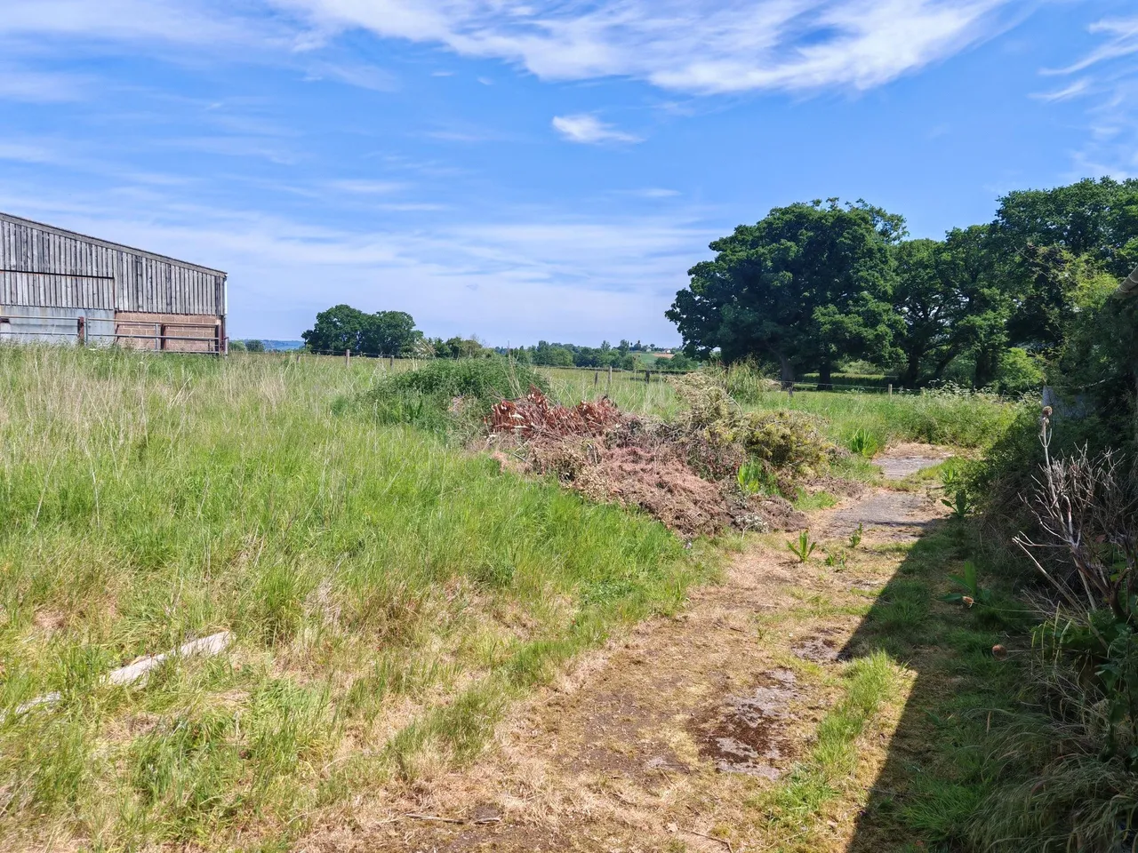 West Buckland, Wellington, TA21, photo 11