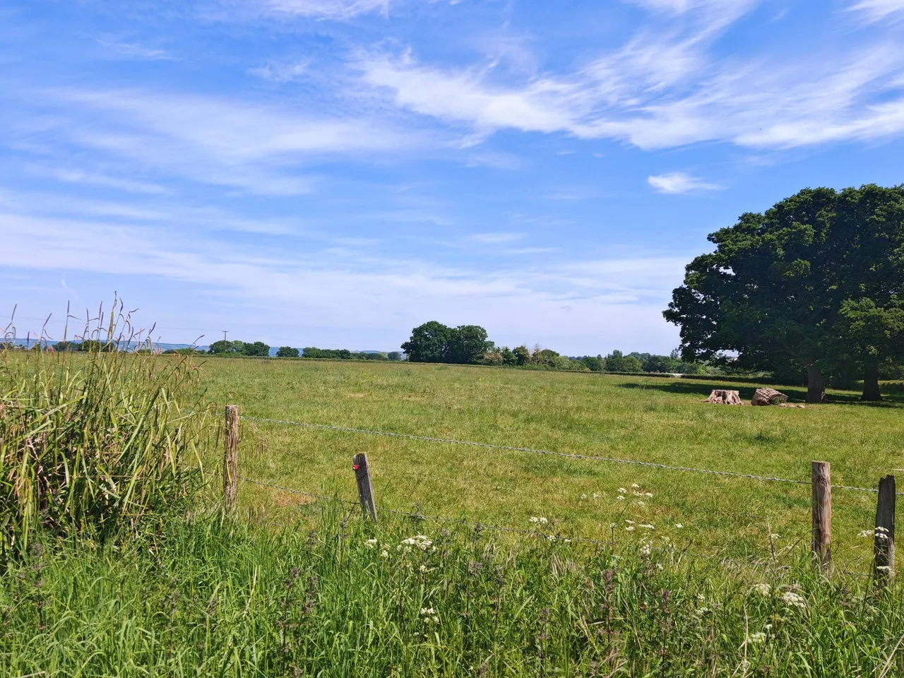 West Buckland, Wellington, TA21, photo 9