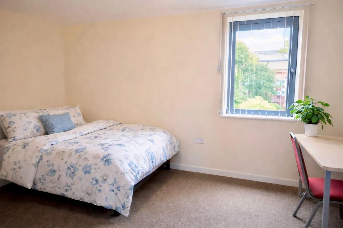 Wilkinson Street, photo 16