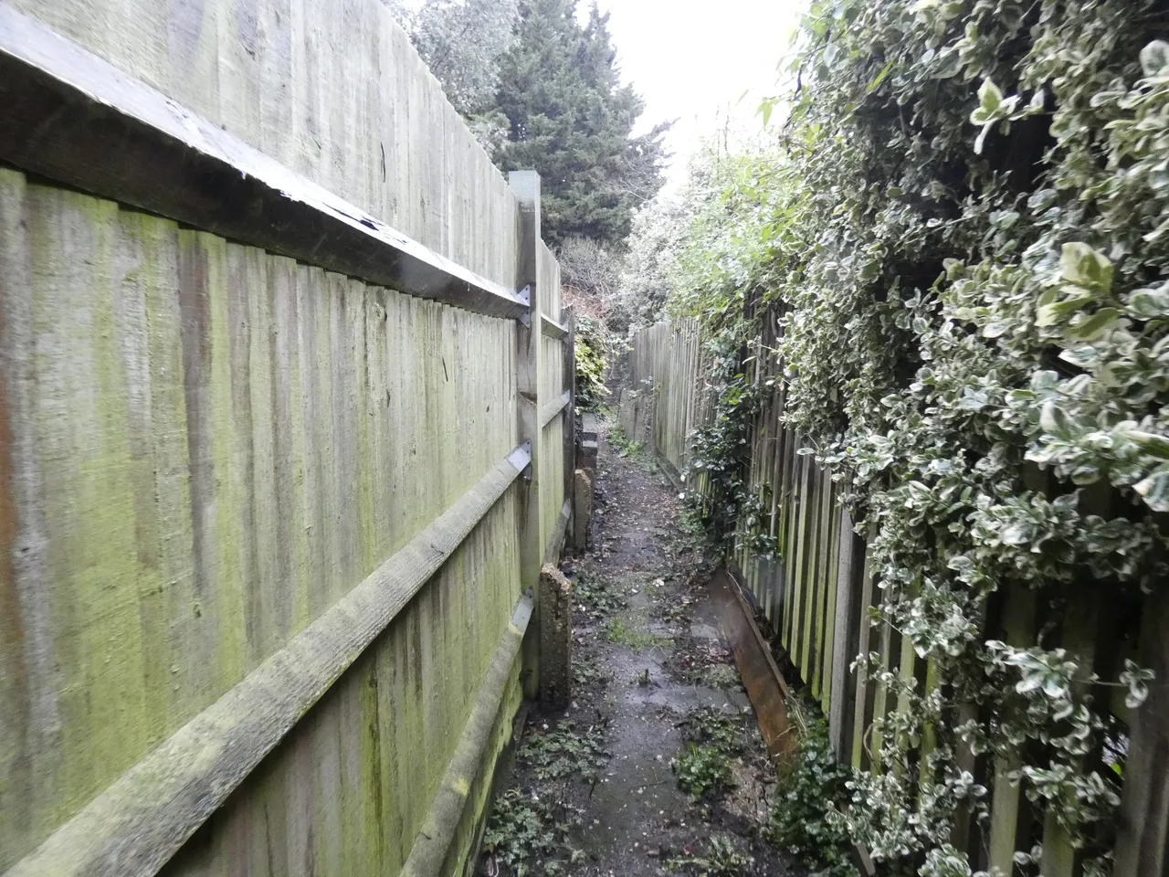 Campbell Road, Hanwell, LONDON, W7 3EA, photo 6