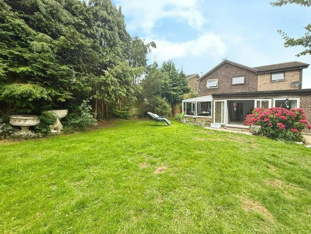 Broad Oak, TN31, photo 16