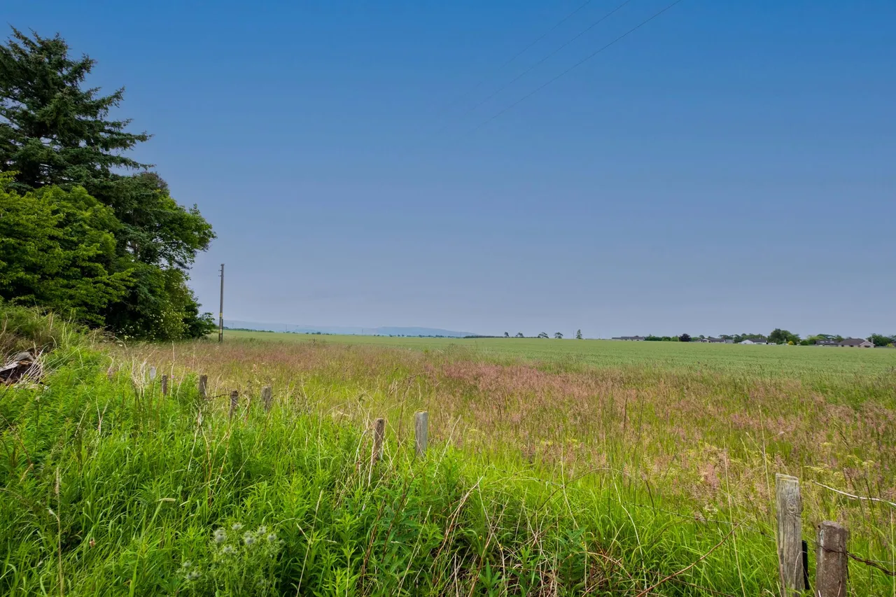 Luthermuir, Laurencekirk, AB30, photo 10