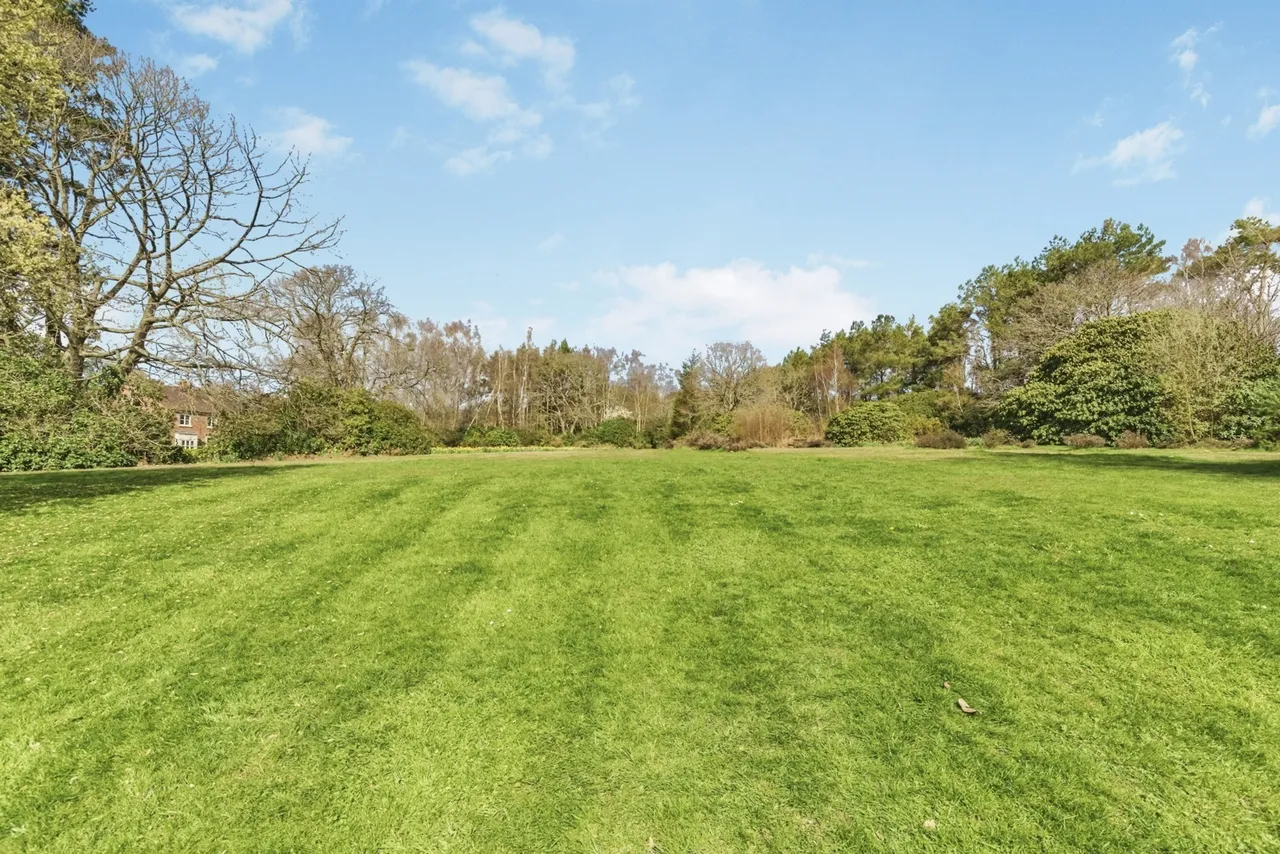 Kings Drive, Midhurst, GU29, photo 15