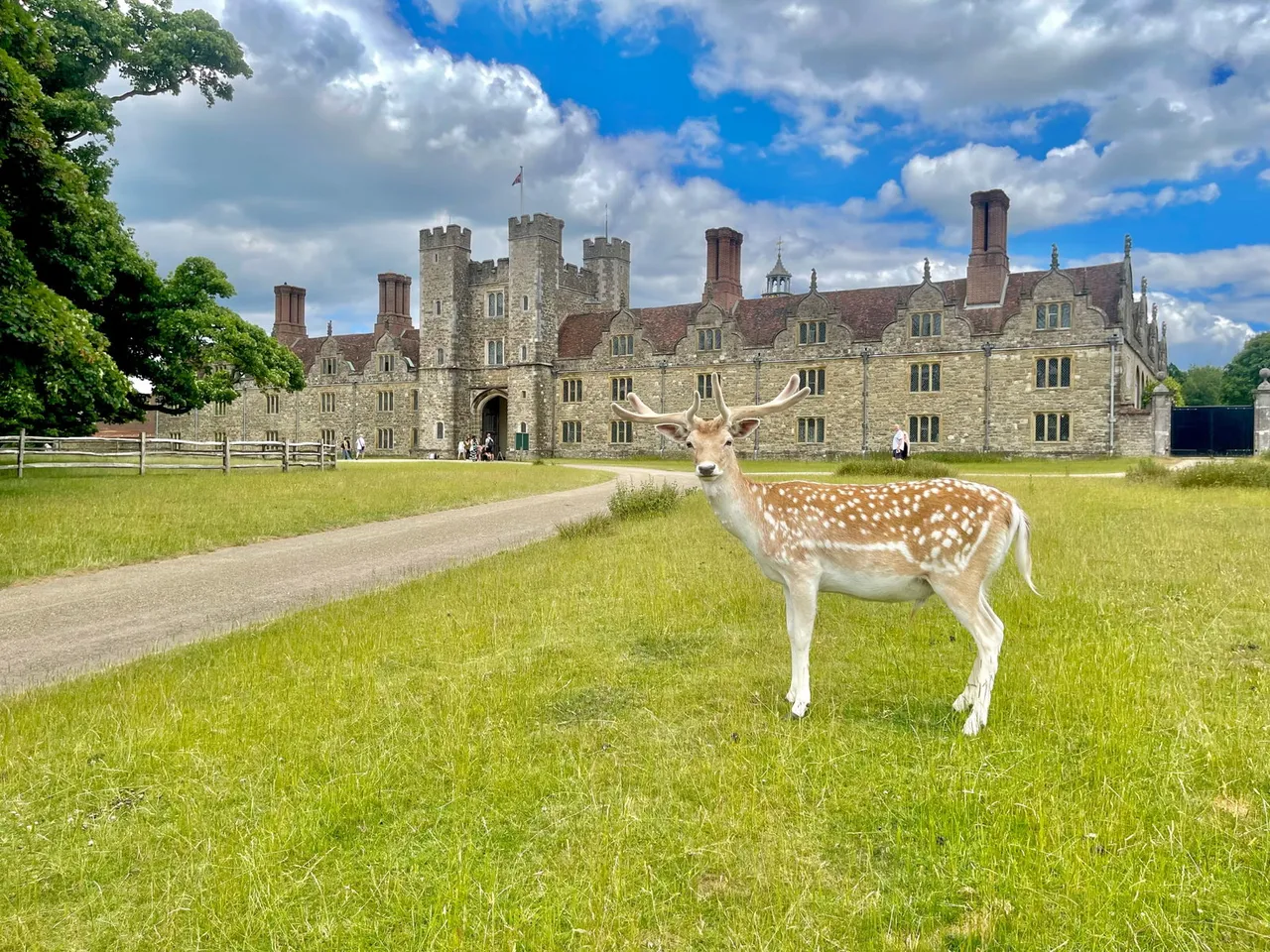 Hawley Drive, West Malling, ME19, photo 52