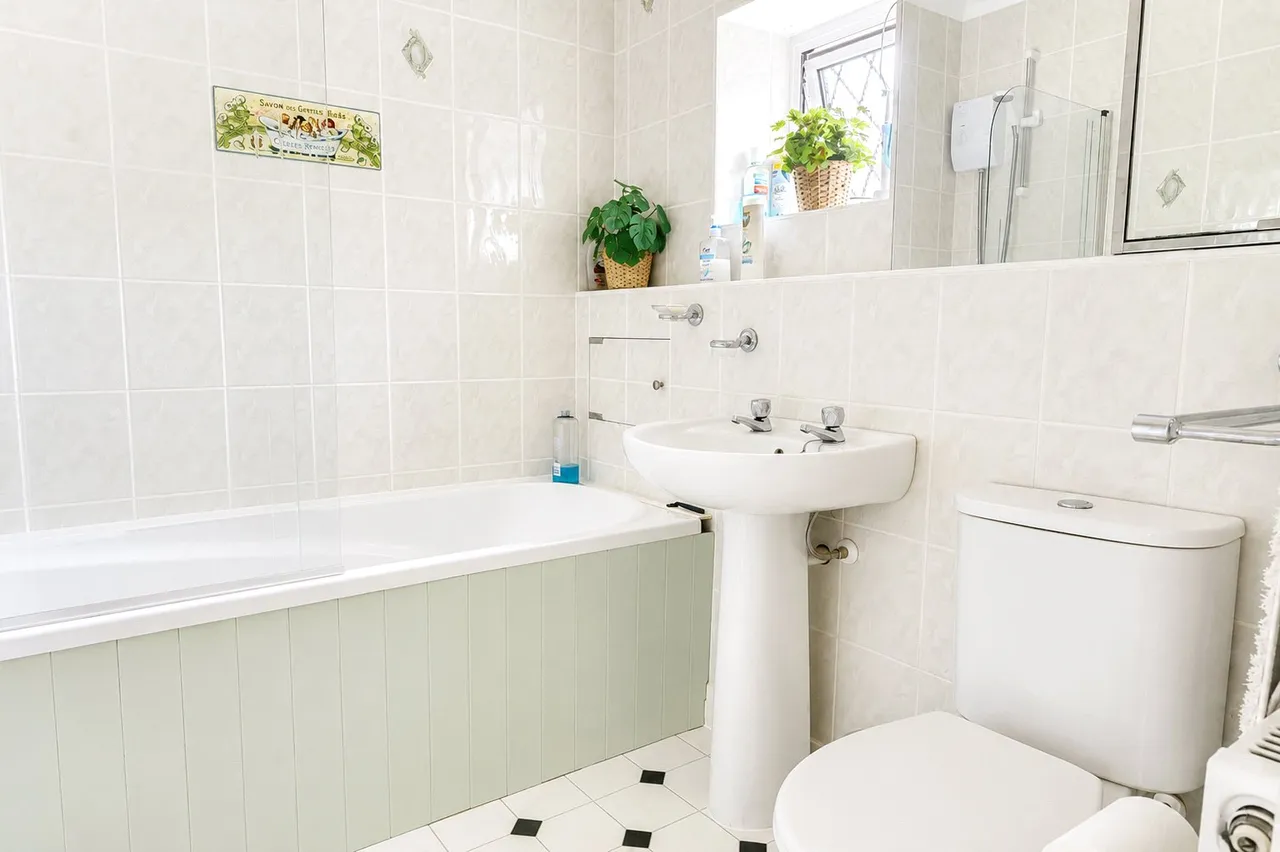 Chapel Cleeve, Minehead, TA24, photo 13