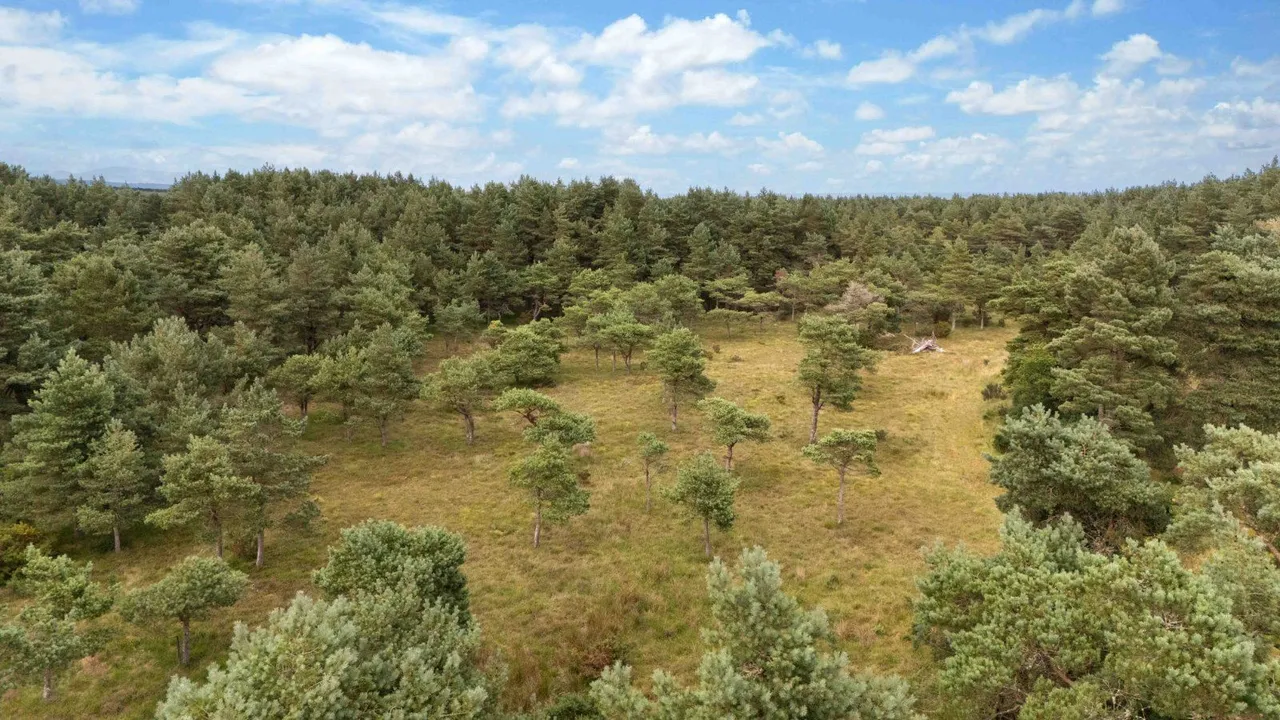 Crofts 1 & 3 - Tinker's Lane, Hilton Of Embo, Dornoch, IV25 3PW, photo 6