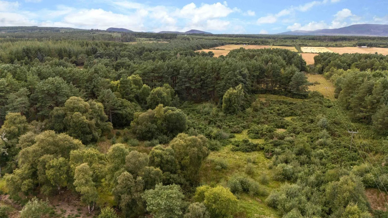 Crofts 1 & 3 - Tinker's Lane, Hilton Of Embo, Dornoch, IV25 3PW, photo 7