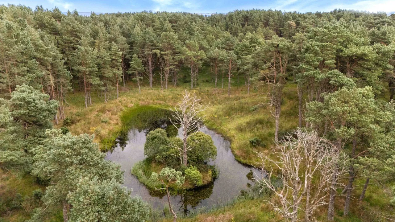 Crofts 1 & 3 - Tinker's Lane, Hilton Of Embo, Dornoch, IV25 3PW, photo 5