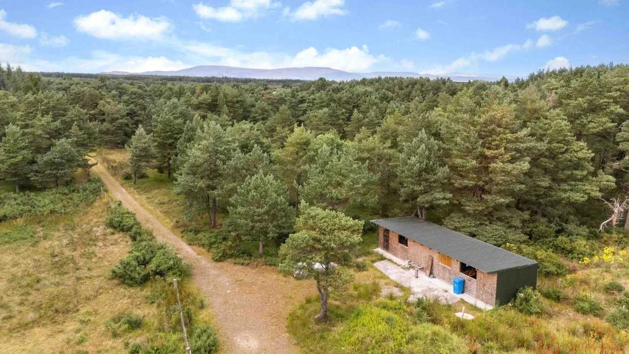 Crofts 1 & 3 - Tinker's Lane, Hilton Of Embo, Dornoch, IV25 3PW, photo 4