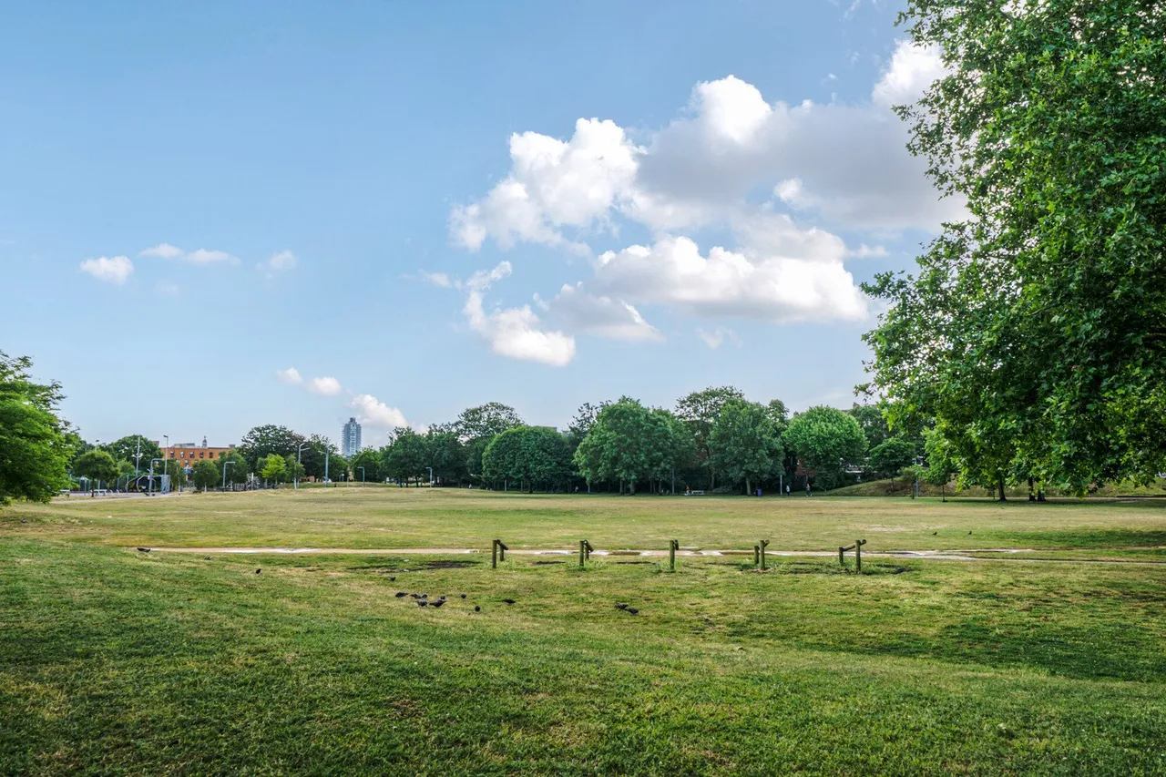 Clifton Rise, SE14, photo 10