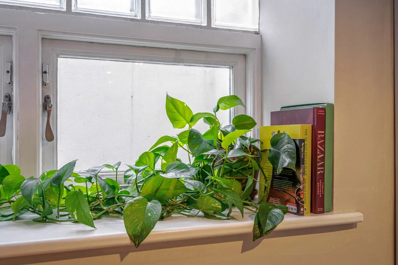 Clifton Rise, SE14, photo 25