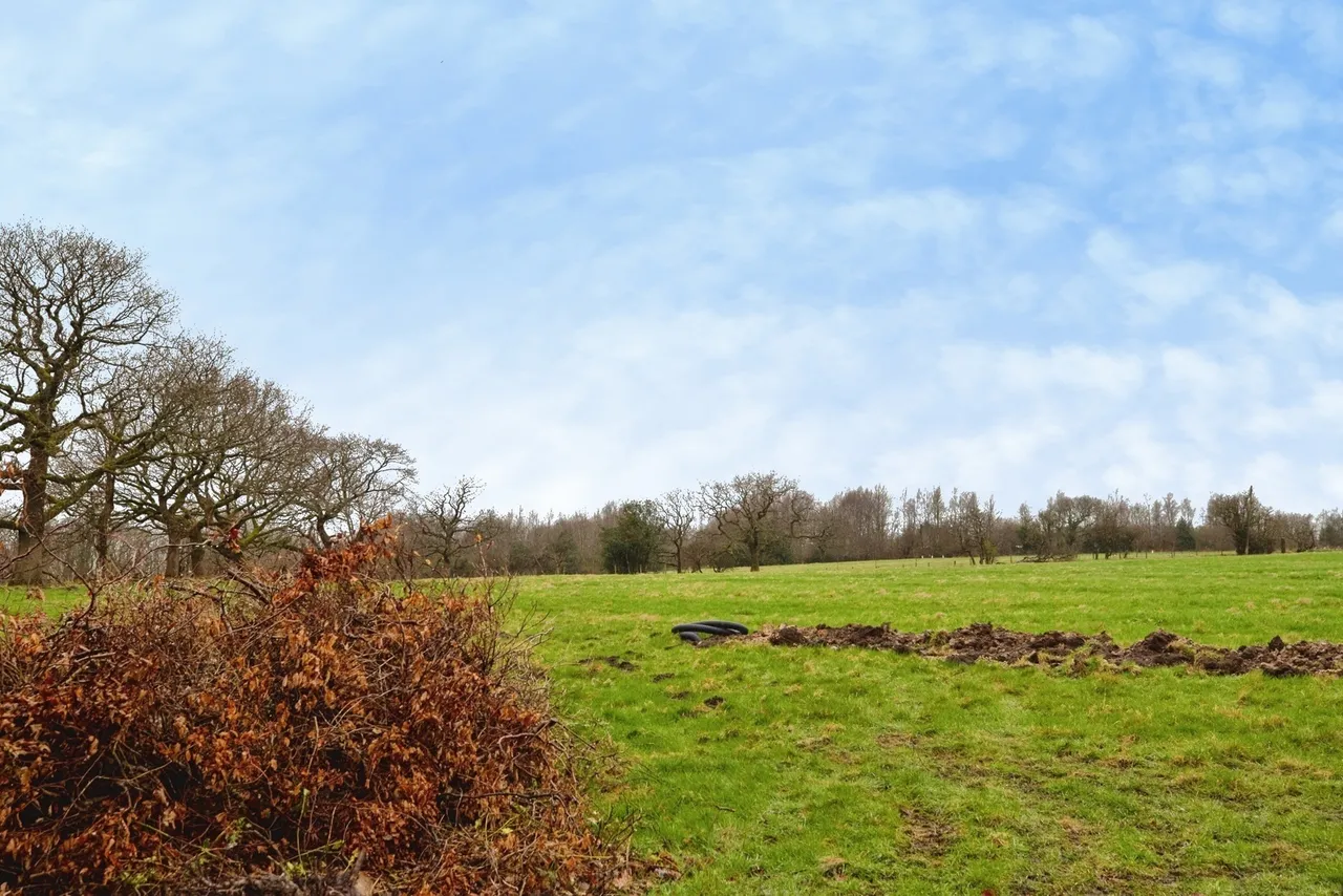 Back Lane, Heath Charnock, Chorley, Lancashire, PR6, photo 15
