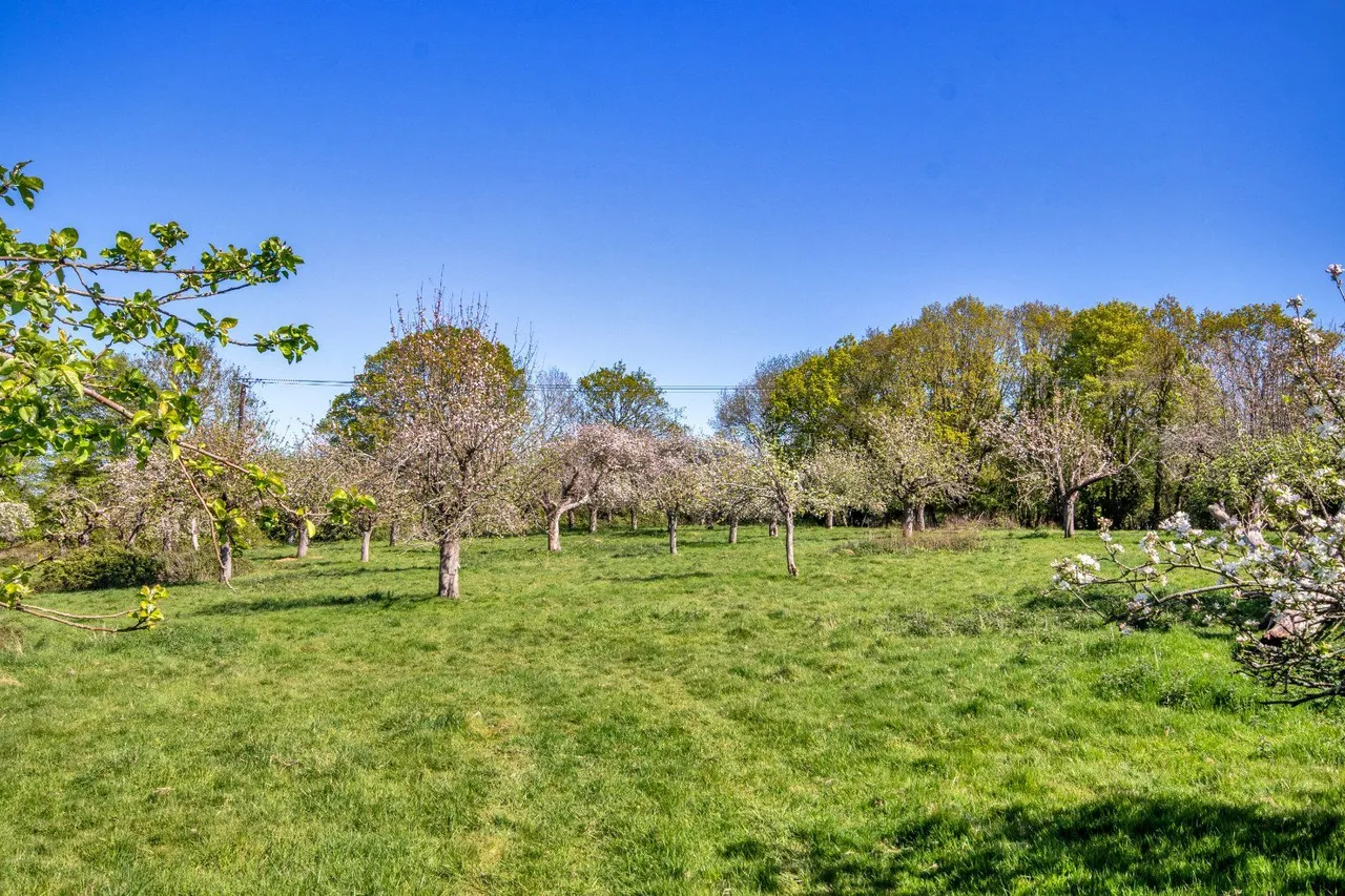 Frittenden, Cranbrook, TN17, photo 30
