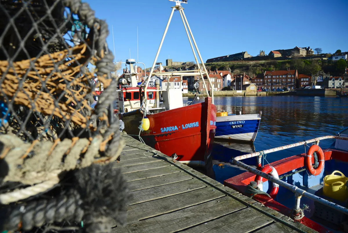 Whitby, YO22, photo 39