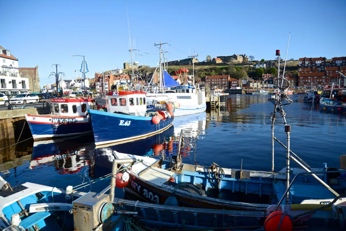 Whitby, YO22, photo 40