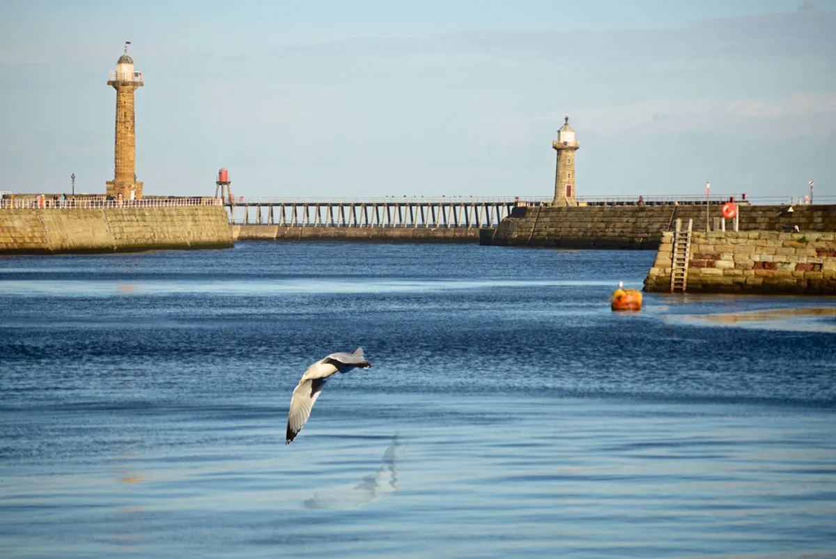 Whitby, YO22, photo 41