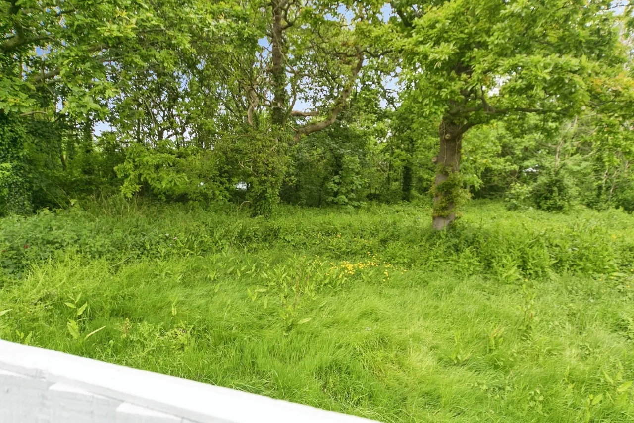 Troon Way, Abergele, LL22, photo 15