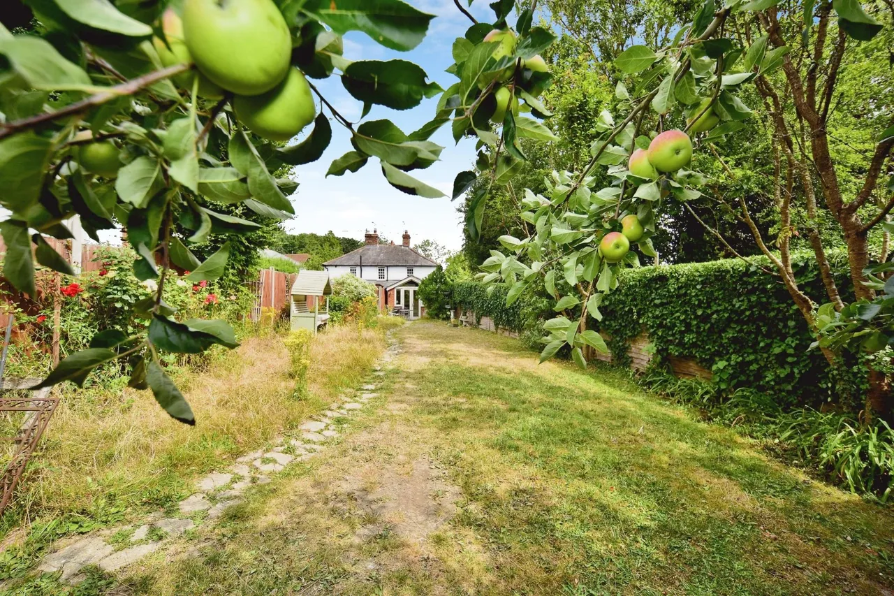 Sandway, Liverton Hill, ME17, photo 4