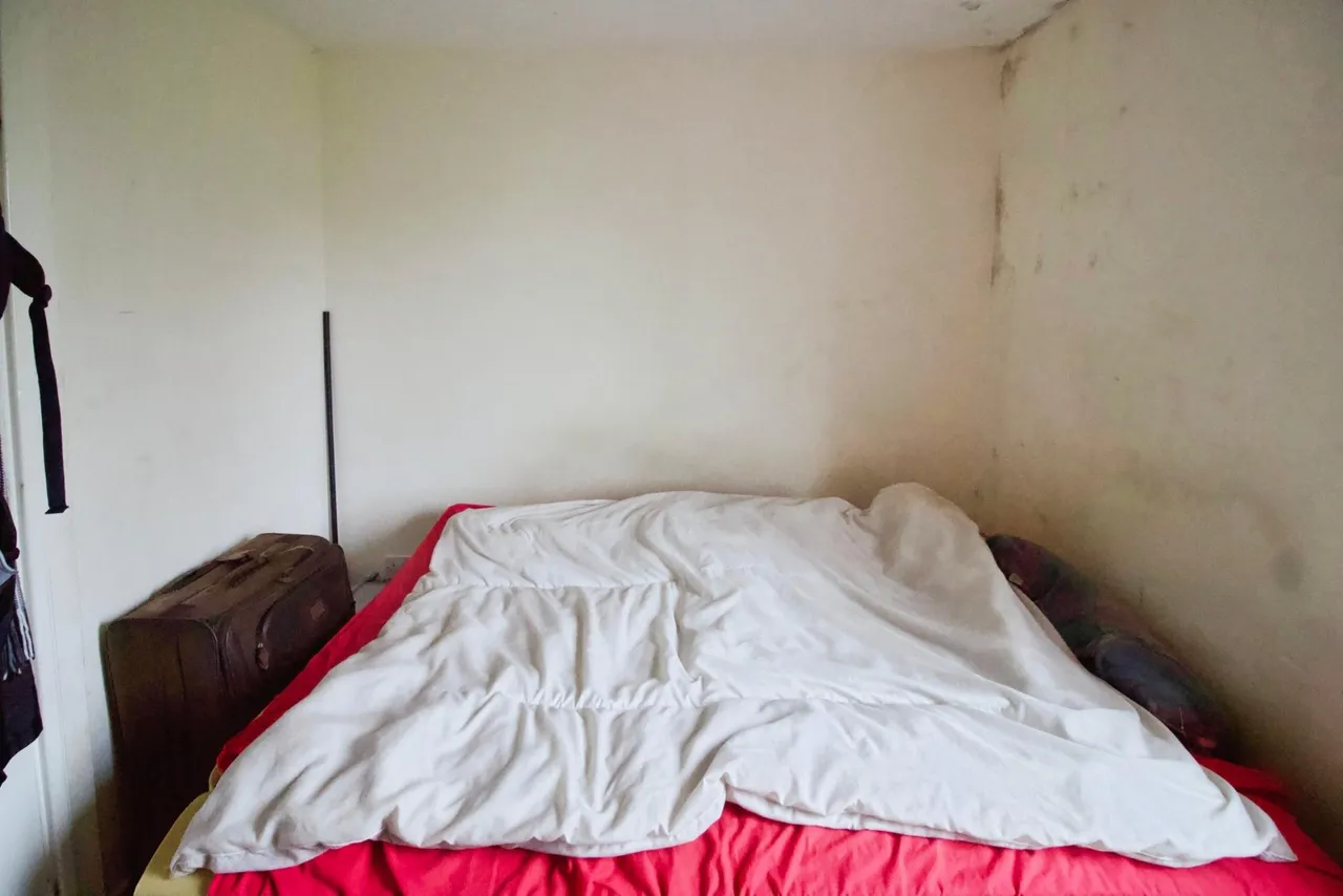 Milwards, Harlow, CM19, photo 3