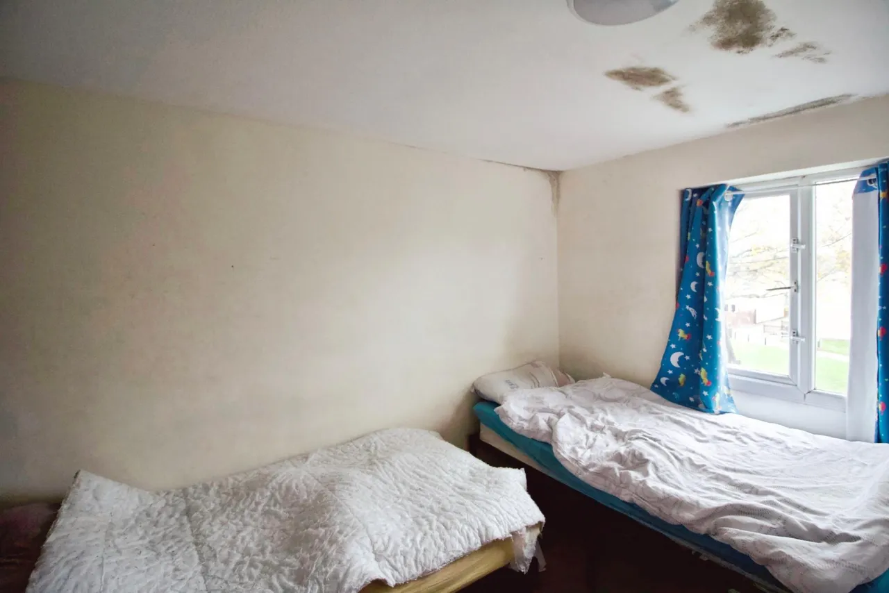 Milwards, Harlow, CM19, photo 6