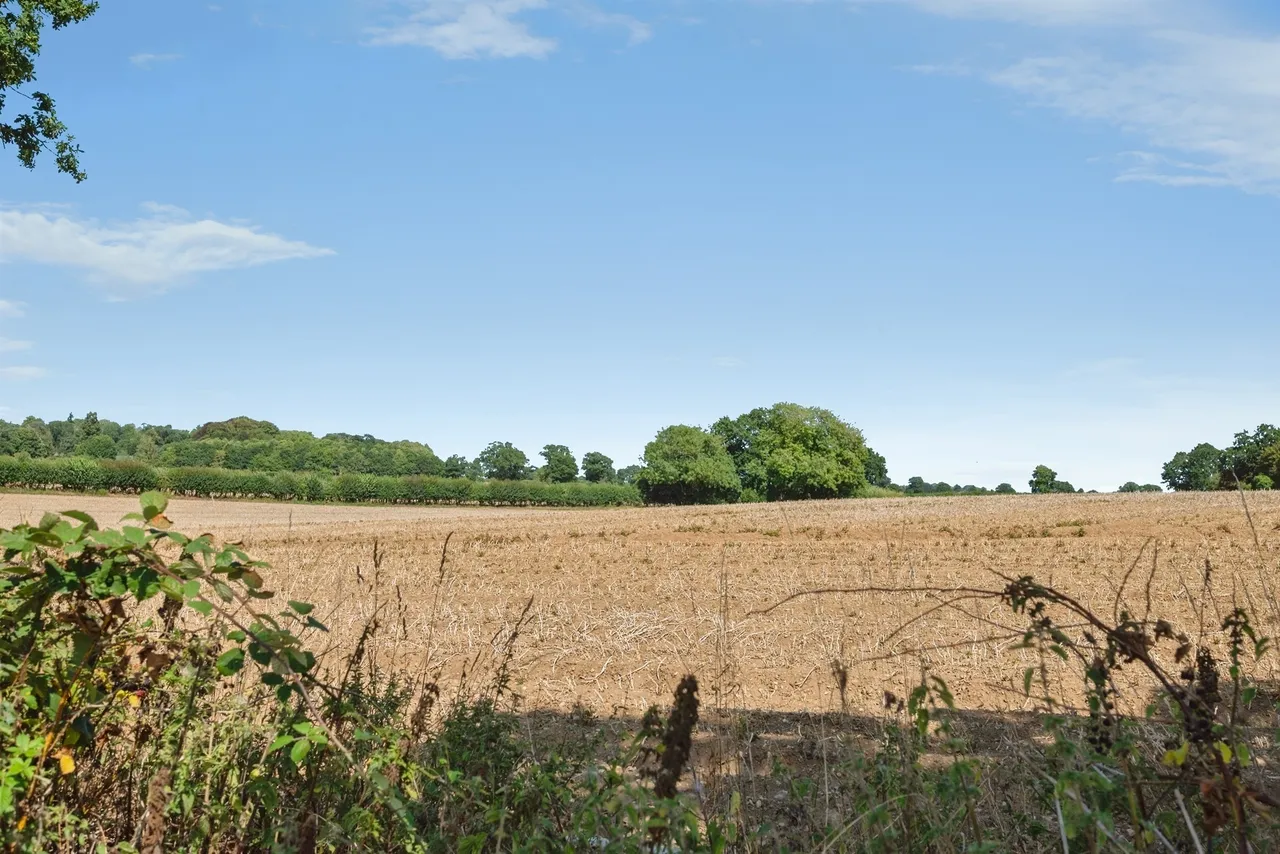 Wood Lane, Burgh, NR11, photo 18