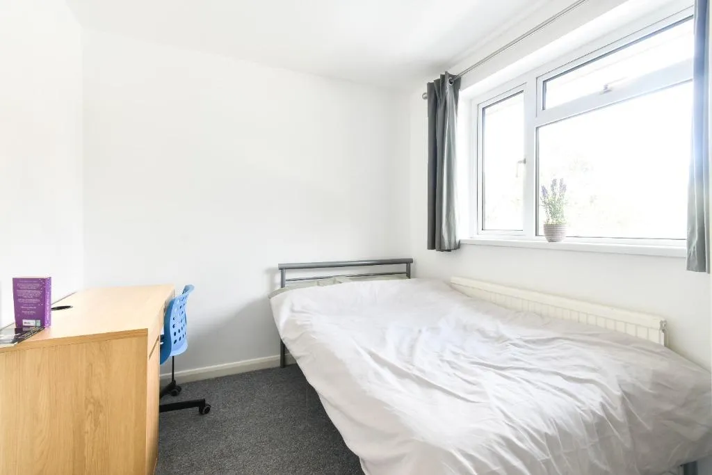 Savery Close, Norwich, NR5, photo 13